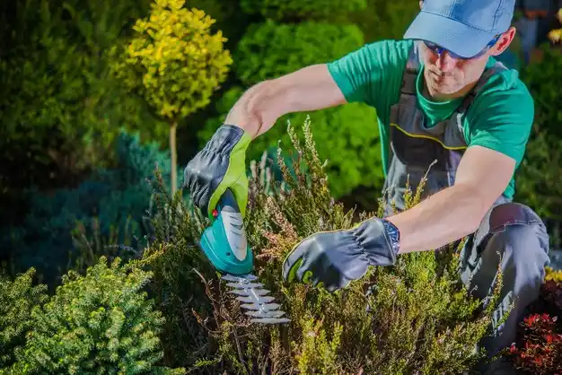 landscaping services Patterson